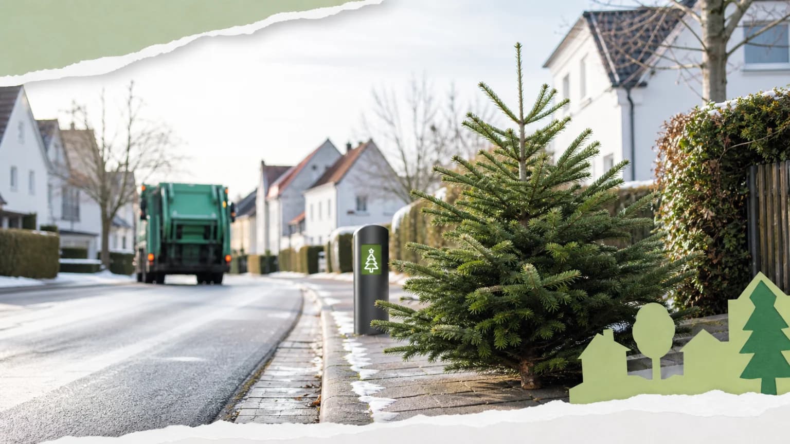 Weihnachtsbaum entsorgen leicht gemacht