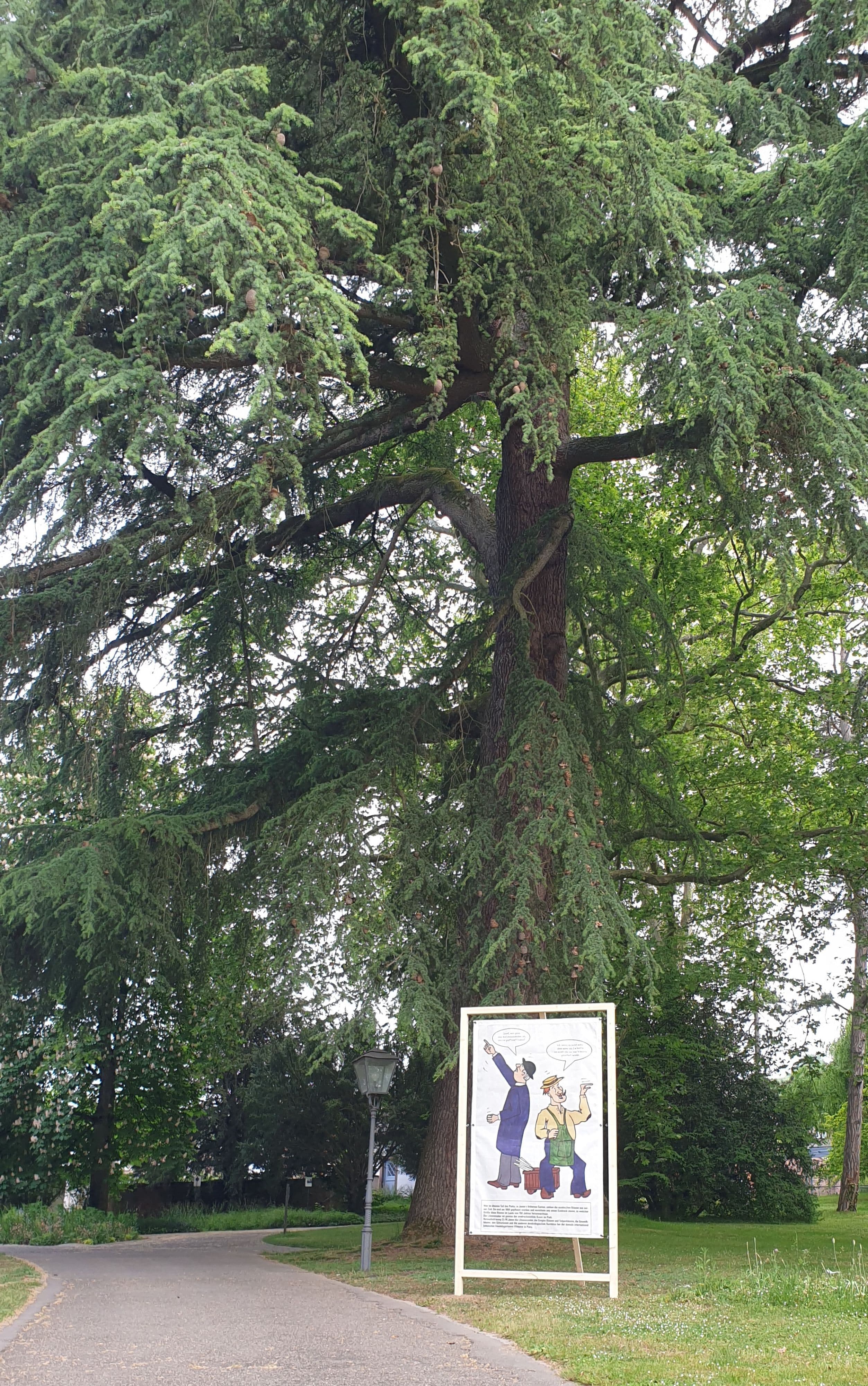 150 Jahre Lahrer Stadtpark: Ein Jubiläum voller Geschichten