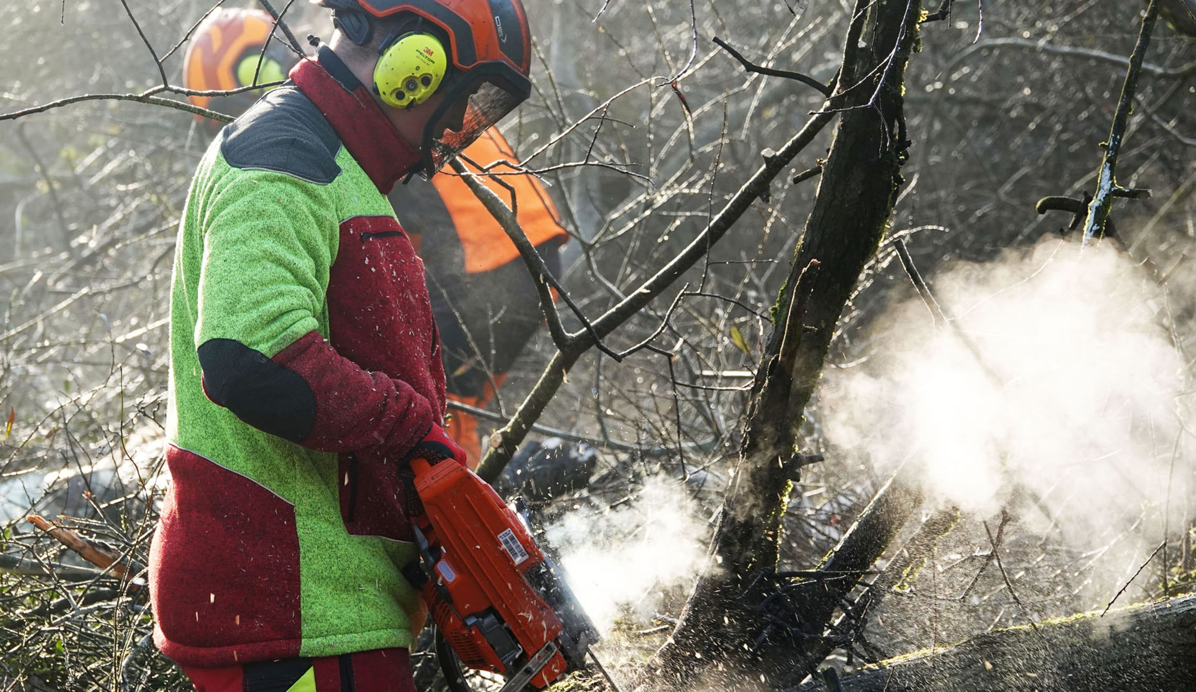Auszubildende gestalten Leutesheimer Wald aktiv mit