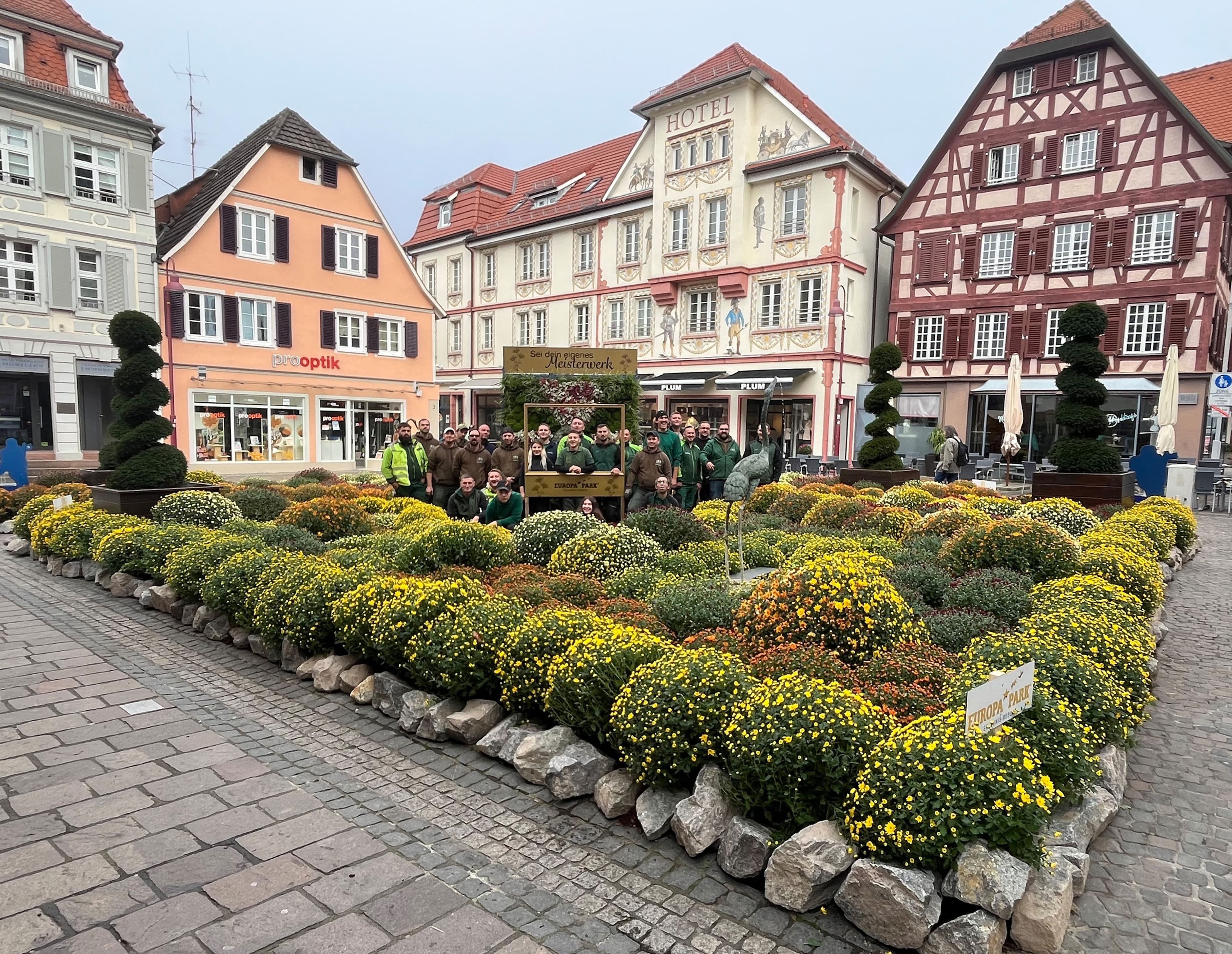Chrysanthemen-Pracht: Ein florales Kunstwerk auf dem Sonnenplatz