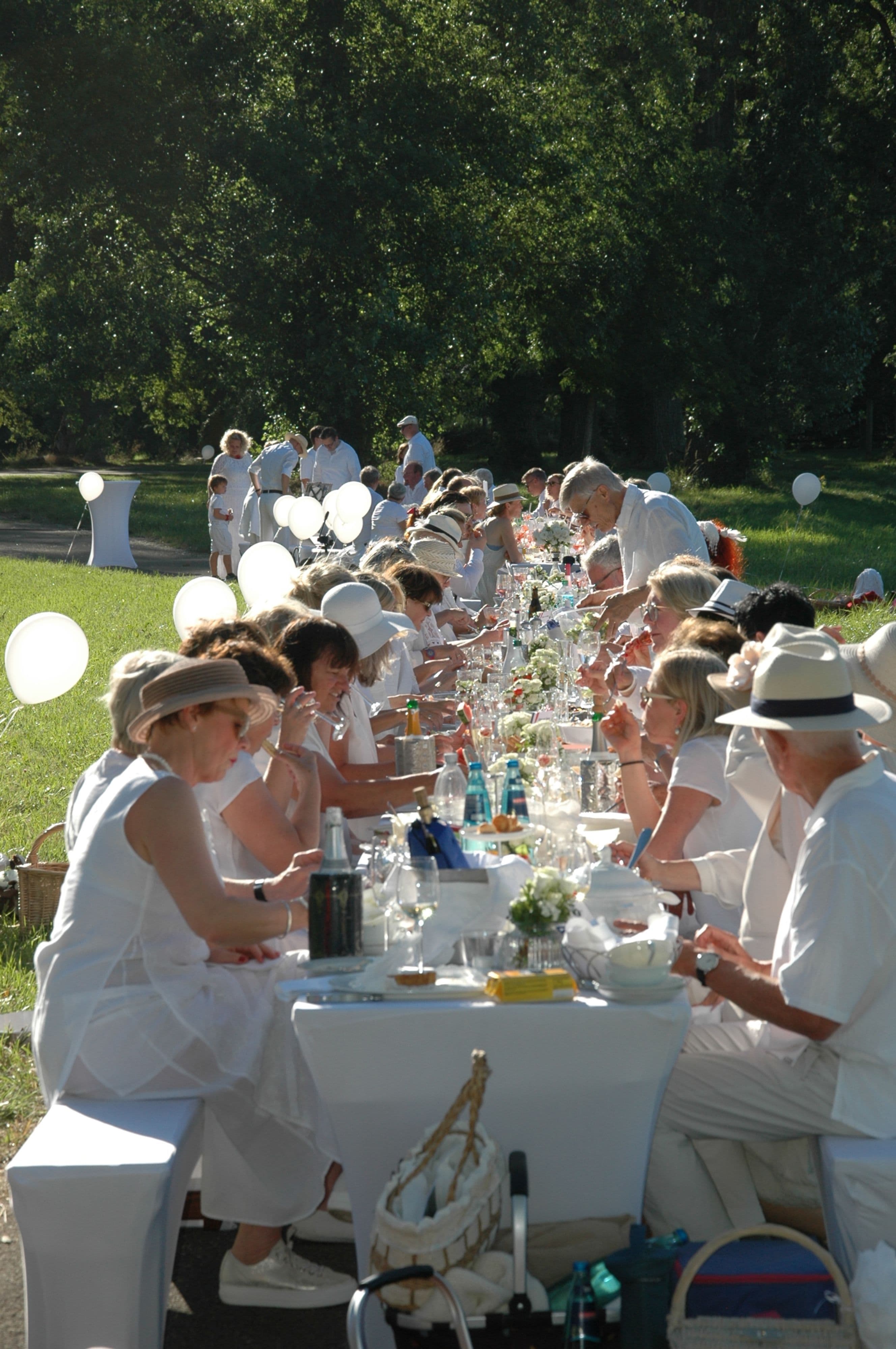 Dîner en blanc 2025 in Donaueschingen