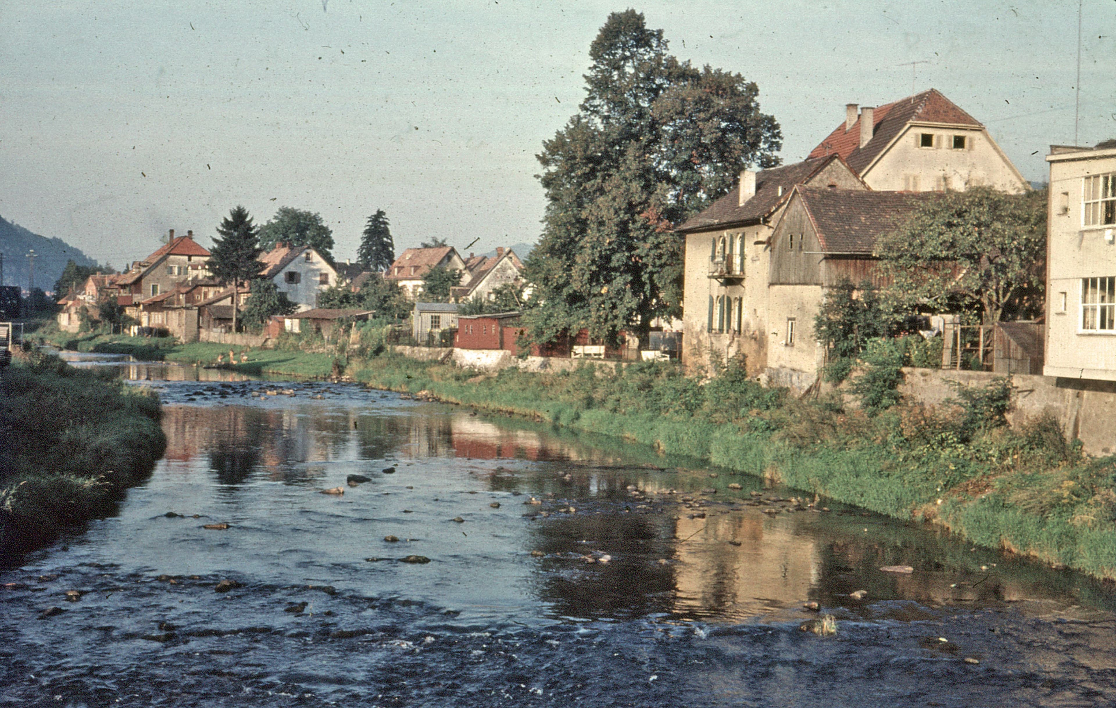 Entdecken Sie den neuen Fischlehrpfad in Waldkirch