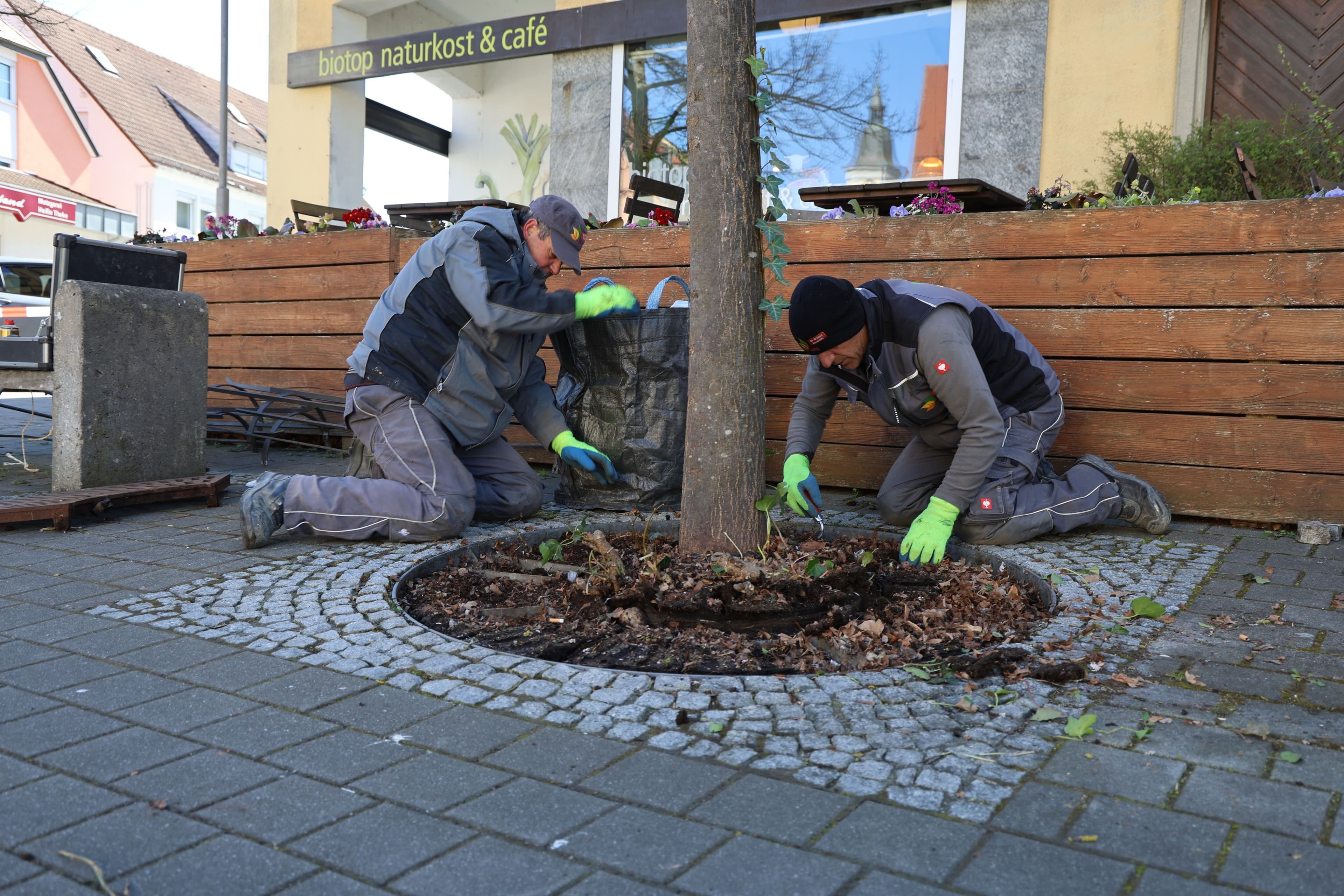 Frühjahrsputz für Bäume in der Kapellengasse