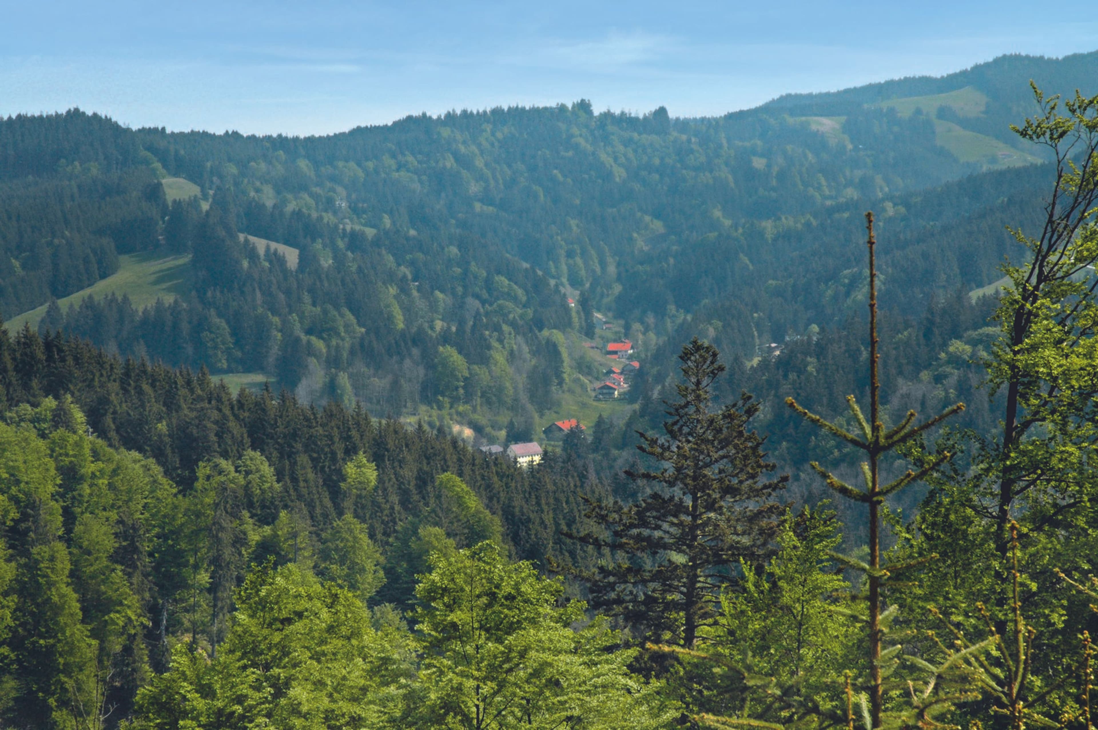 Geführte Wanderung im Kreuzbachtal am 8. Juni