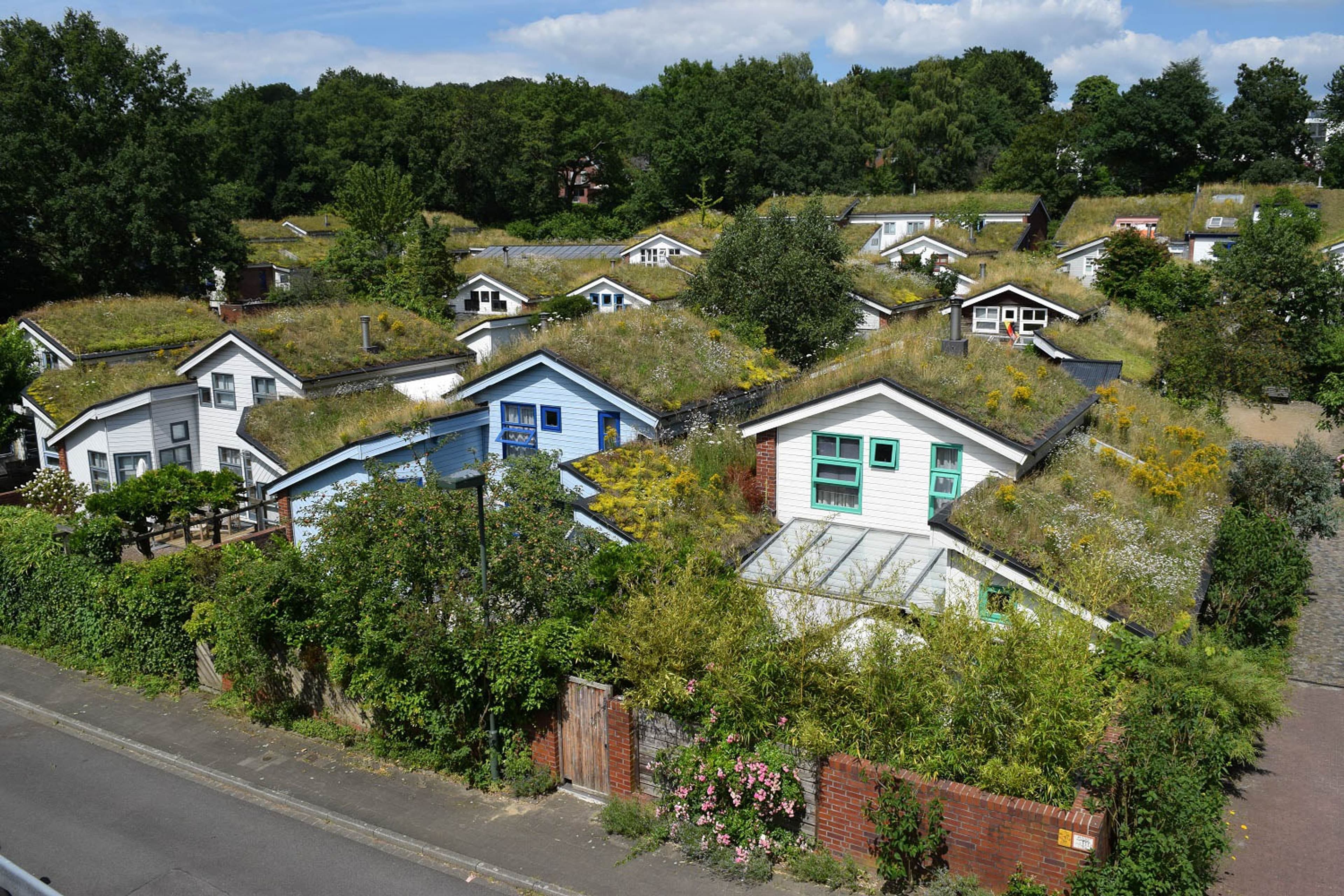 KlimaIMPULS: Zuschüsse für nachhaltige Projekte in Schwetzingen