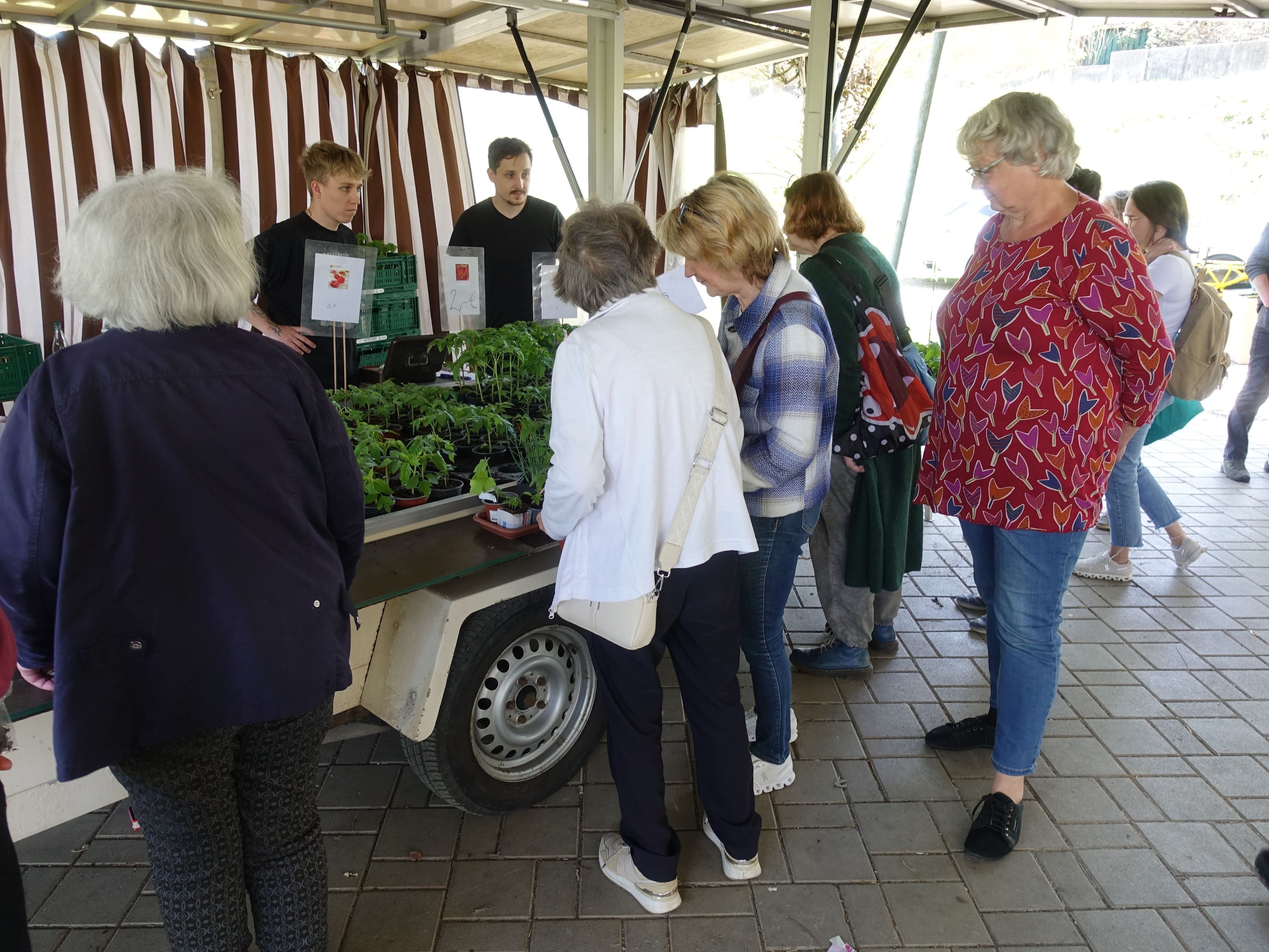 Kurzmitteilung: Pflanzenflohmarkt lockt viele Besucher an