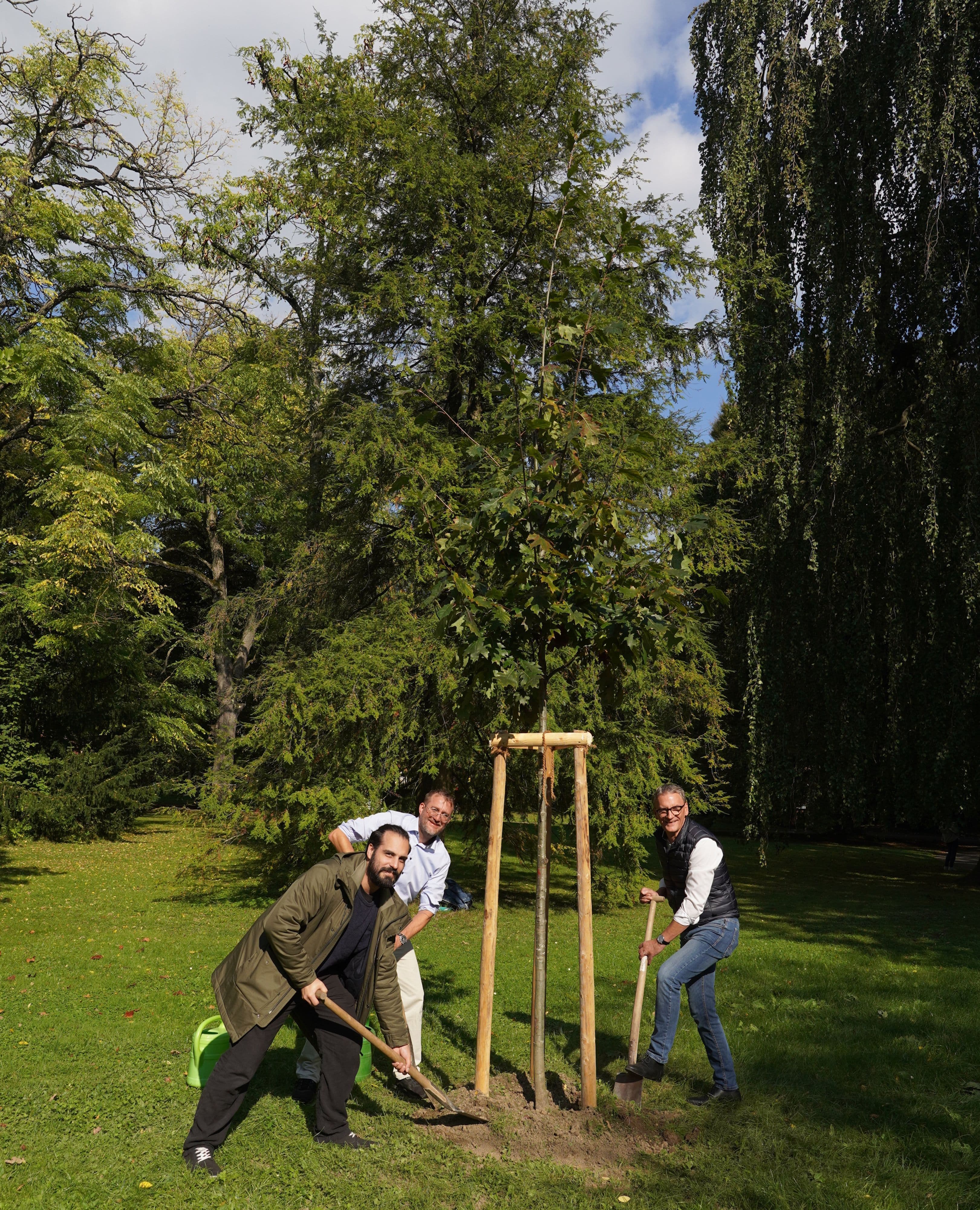 Lahr feiert 150 Jahre Stadtpark mit neuer Rot-Eiche