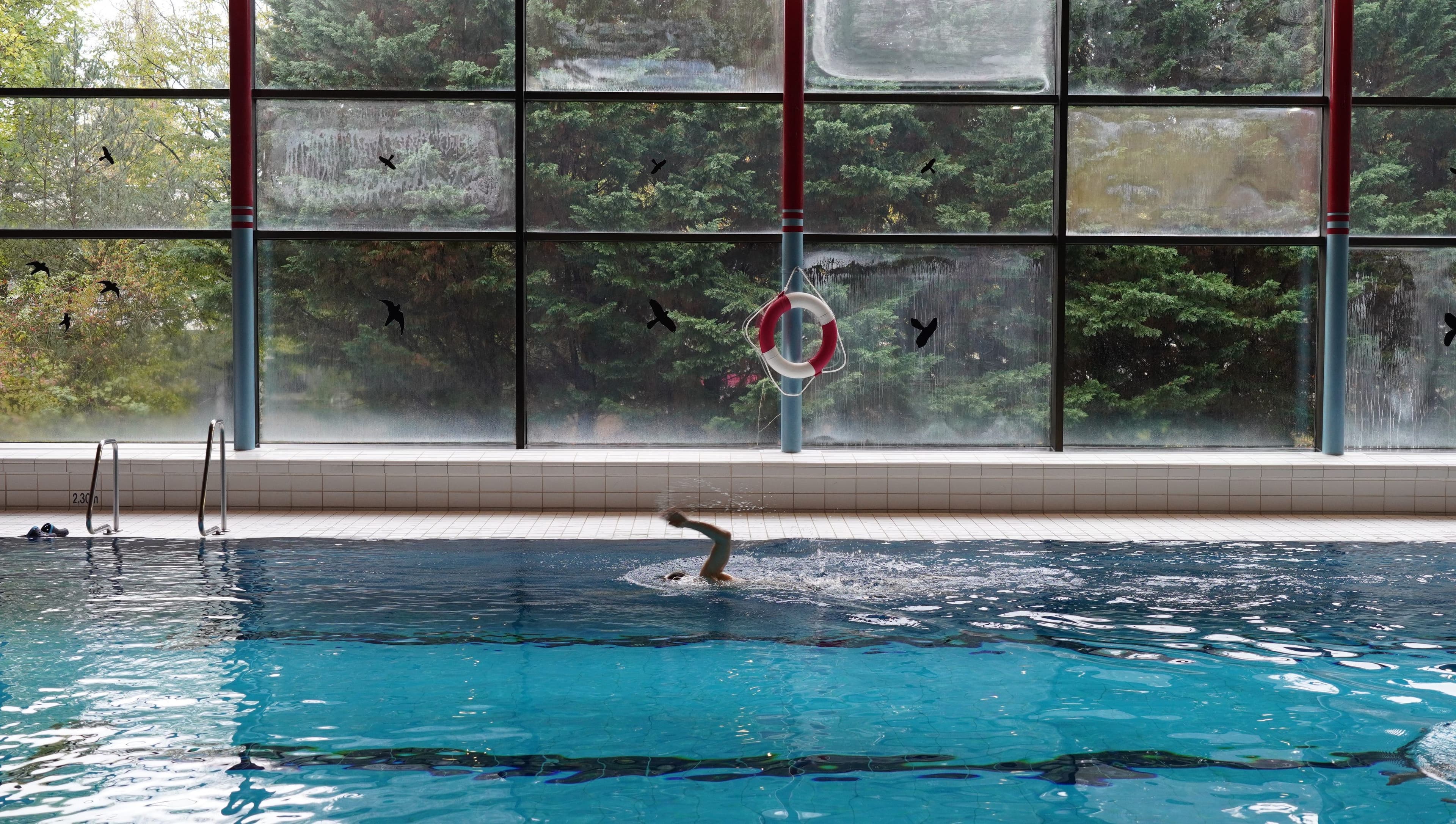 Lahrer Hallenbad startet neue Kurse im Januar 2026