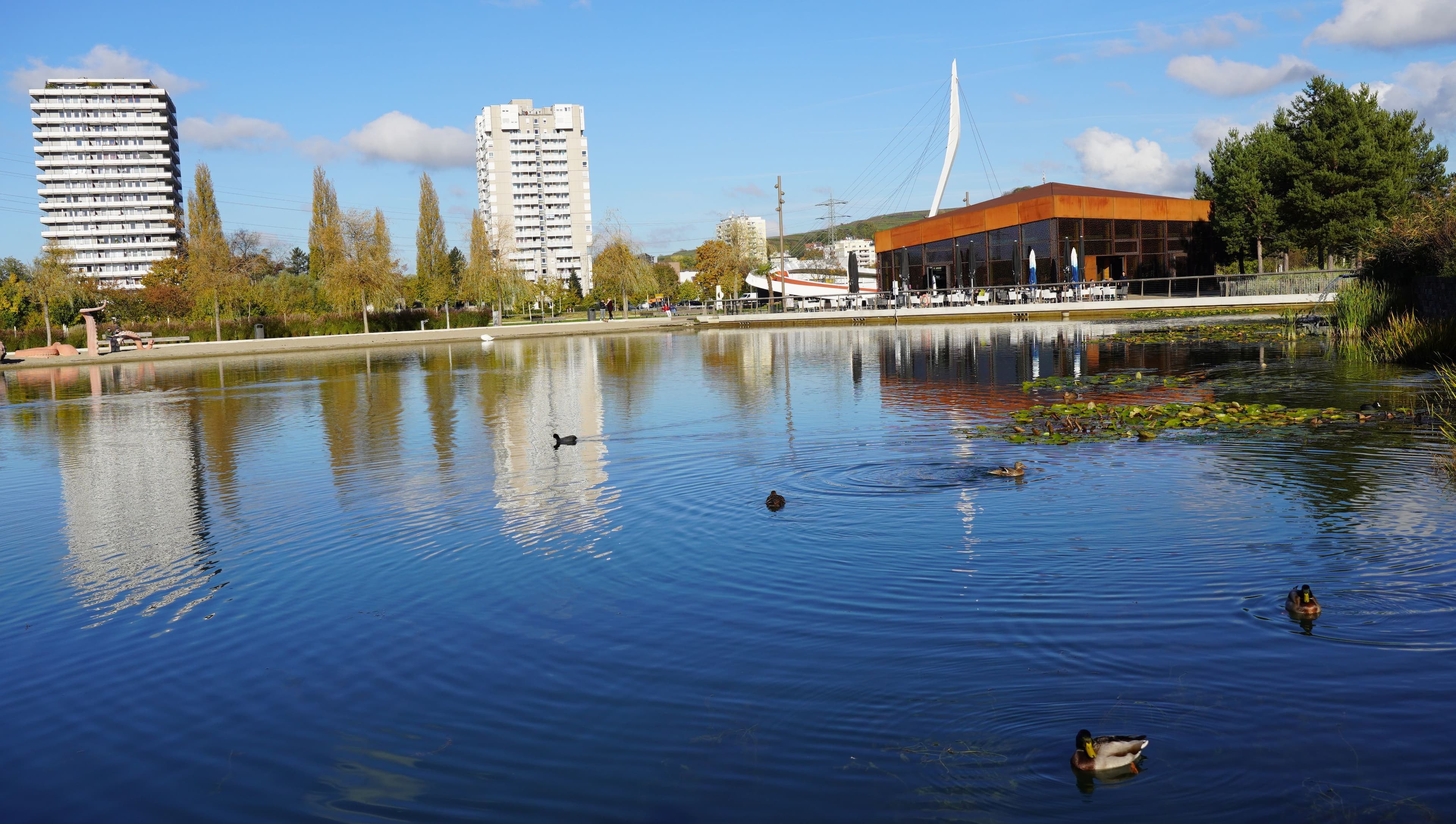 Lahrer Seepark bleibt Favorit unter Erholungsgebieten