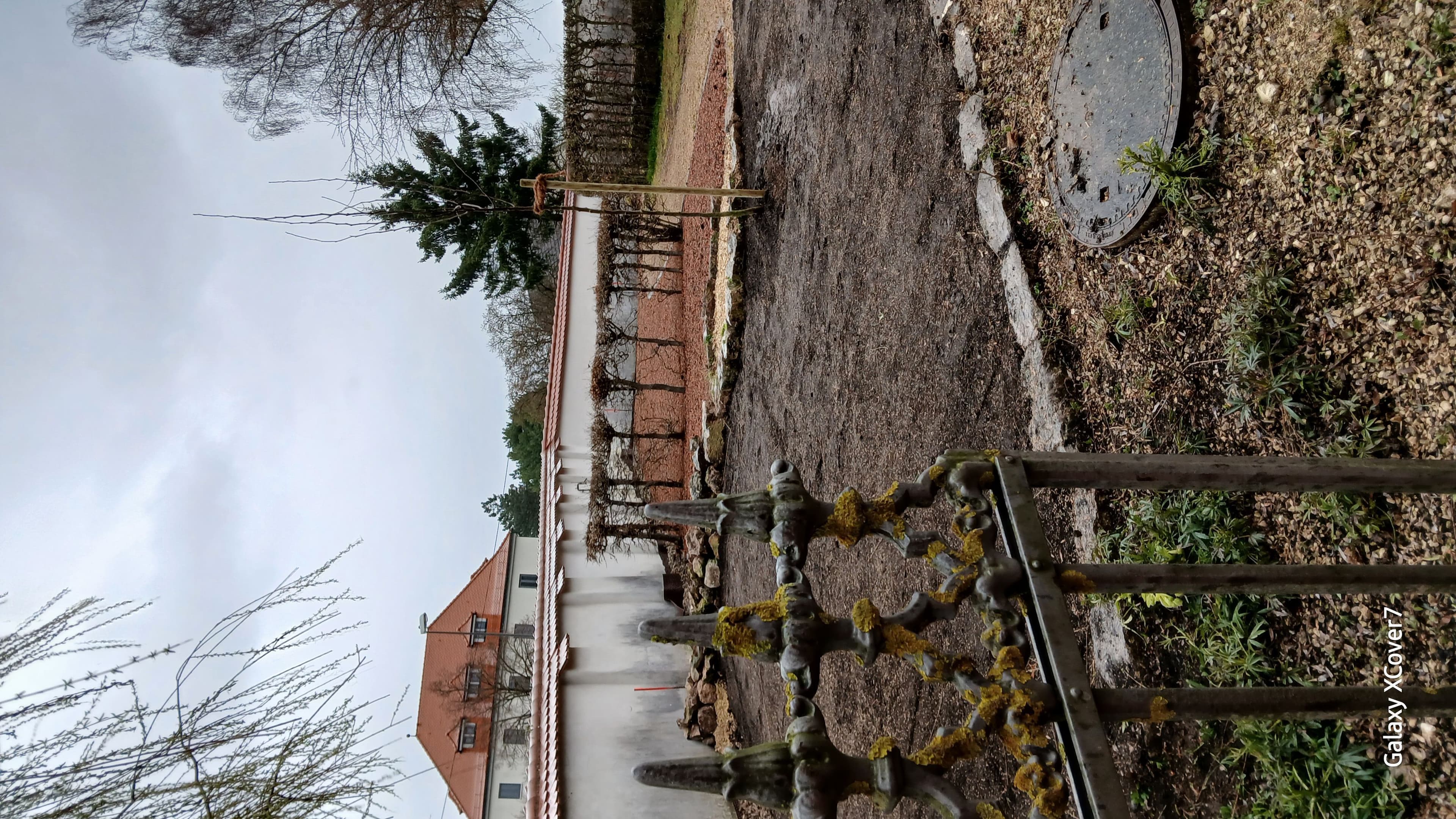 Neuer Kräutergarten in Albeck vorgestellt