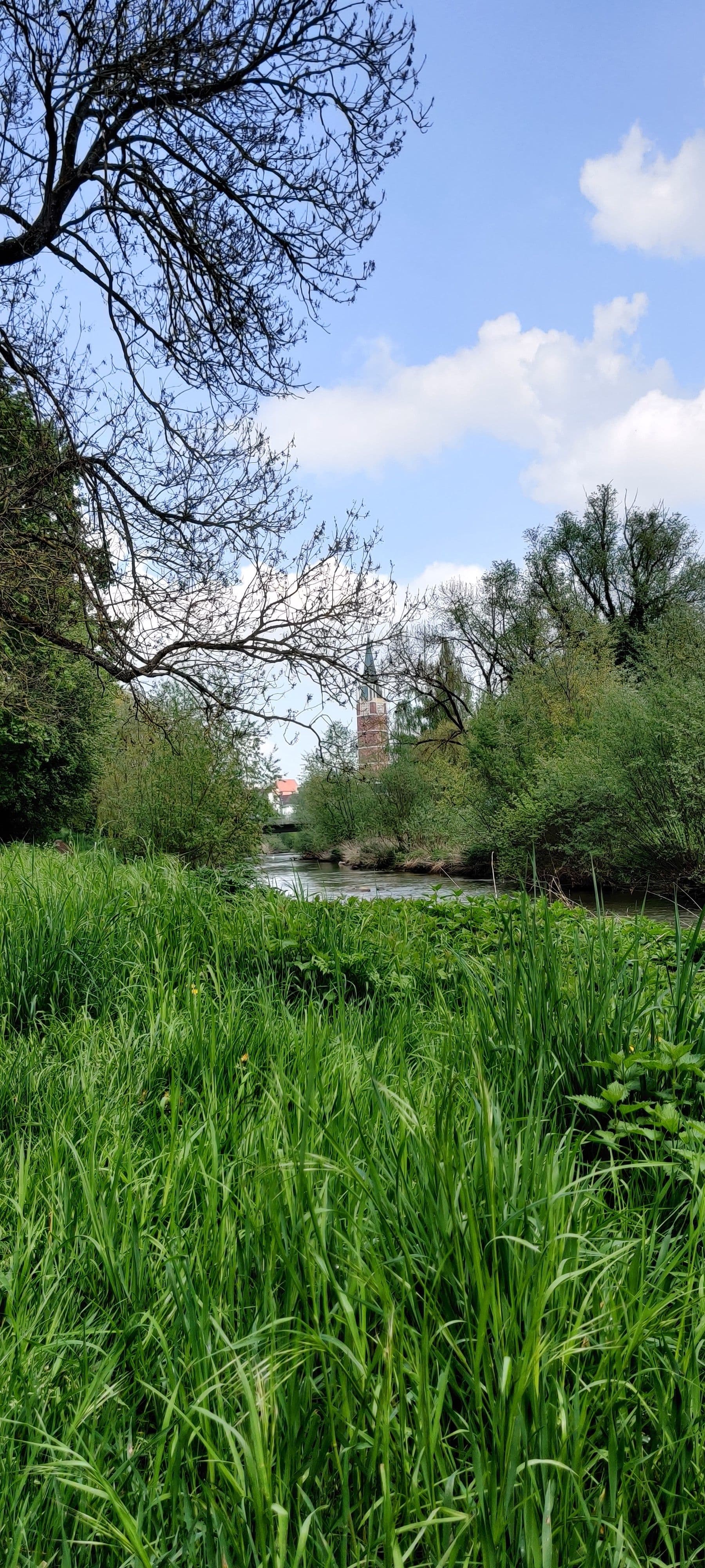 Pforzheim: Spaziergang zum Naturschutz für ein besseres Klima