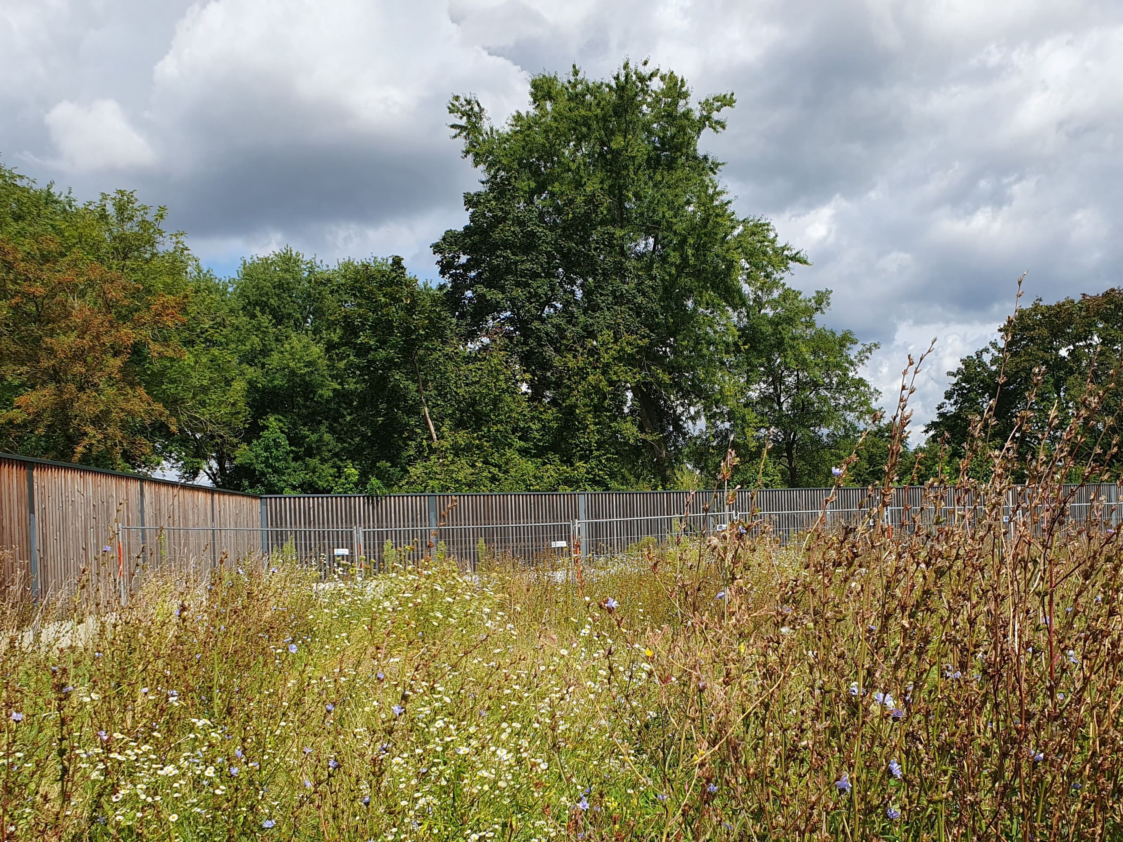 Schaffung von Wohnraum in Hemsbach: Baulücken aktiv nutzen