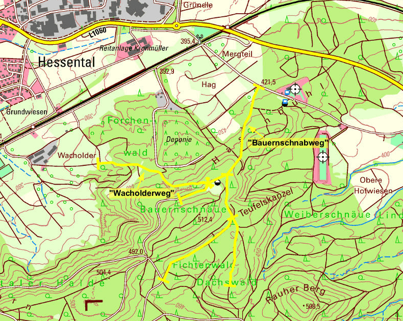 Sicherheitsaufruf an Waldbesitzer: Lichtraumprofil an Waldwegen frei halten