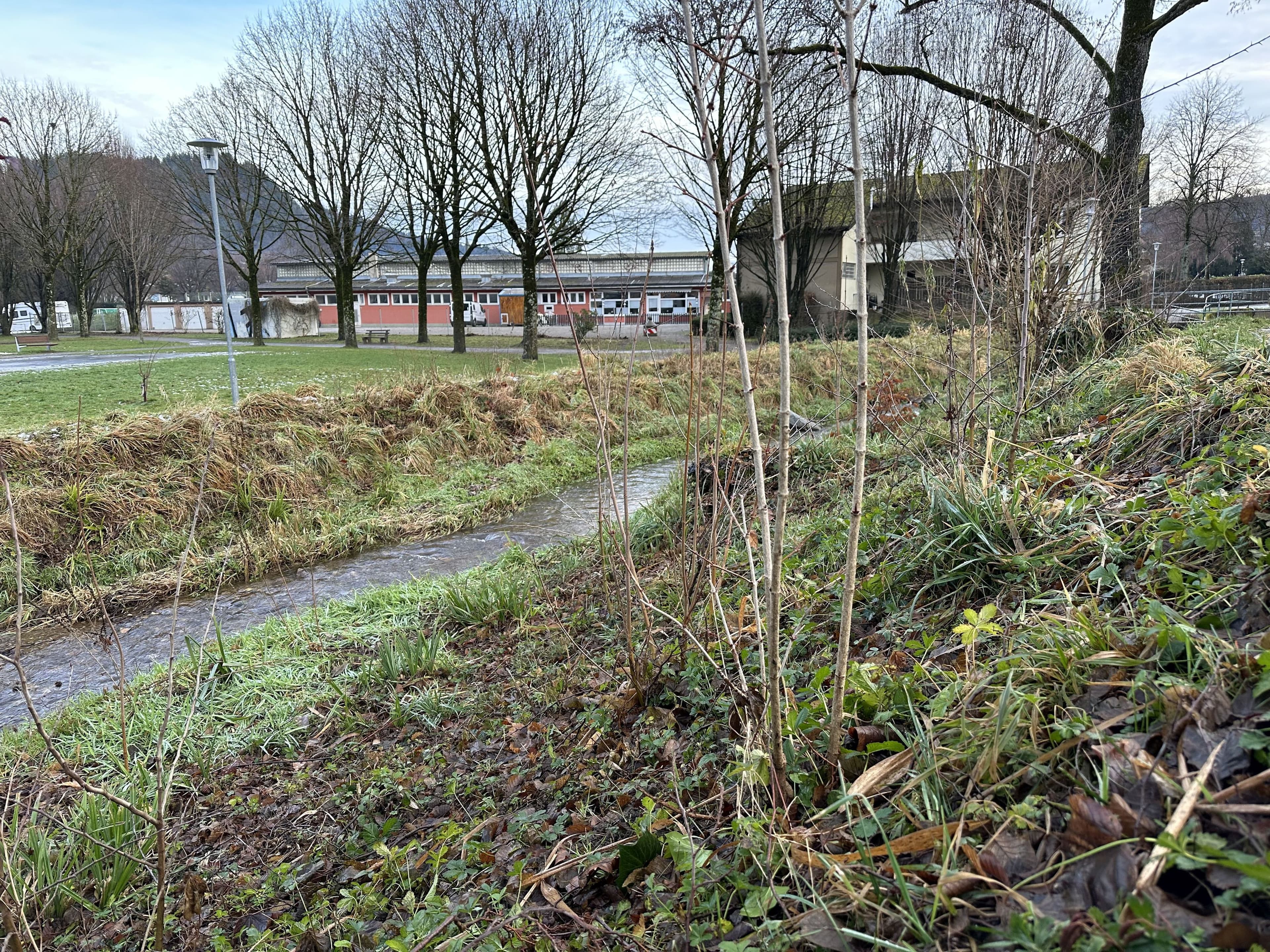 Waldkirch schützt Ufer vor Dammbruch