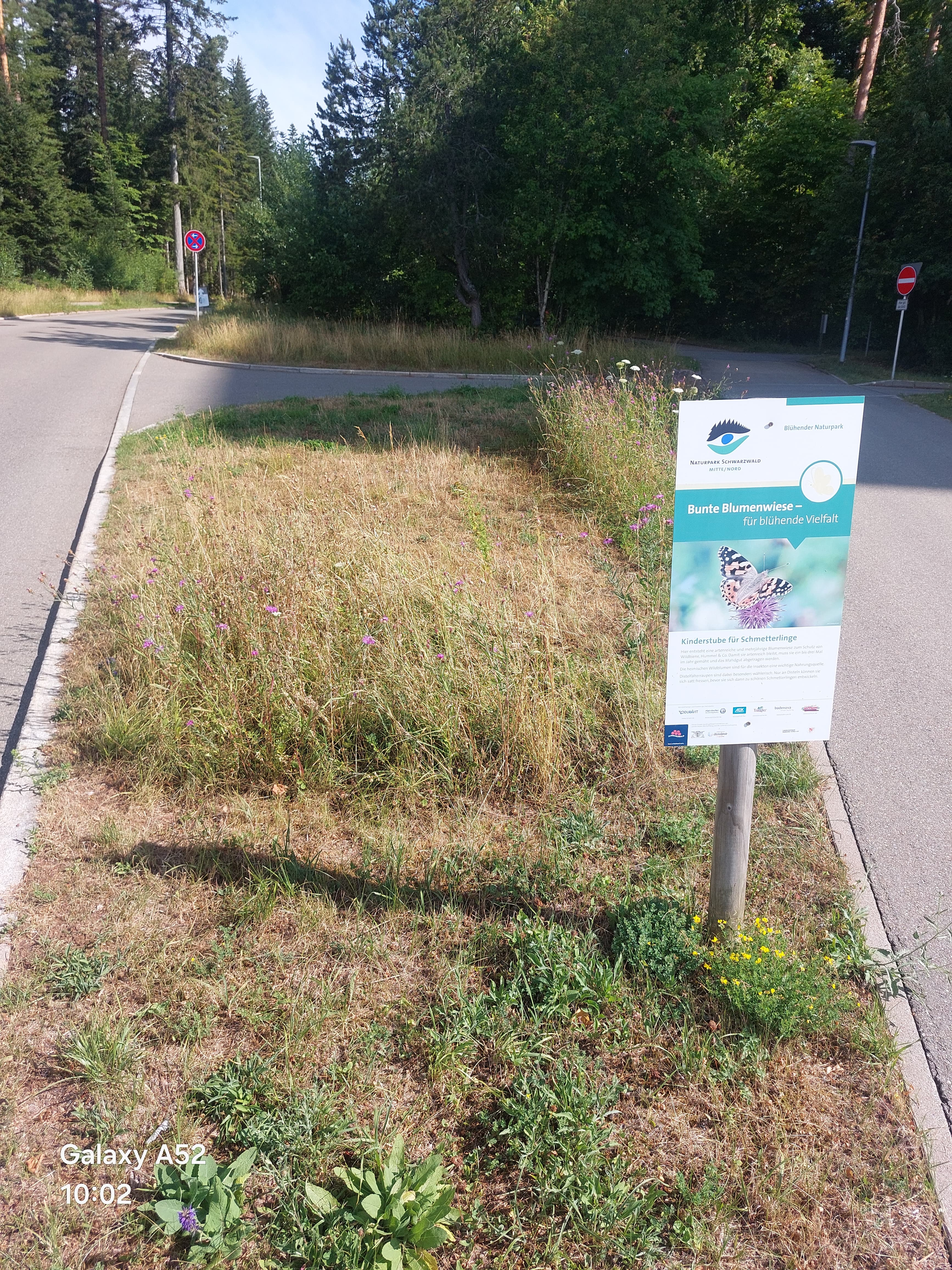 Freudenstadt setzt auf gestaffelte Mahd für mehr Natur im Straßenbegleitgrün