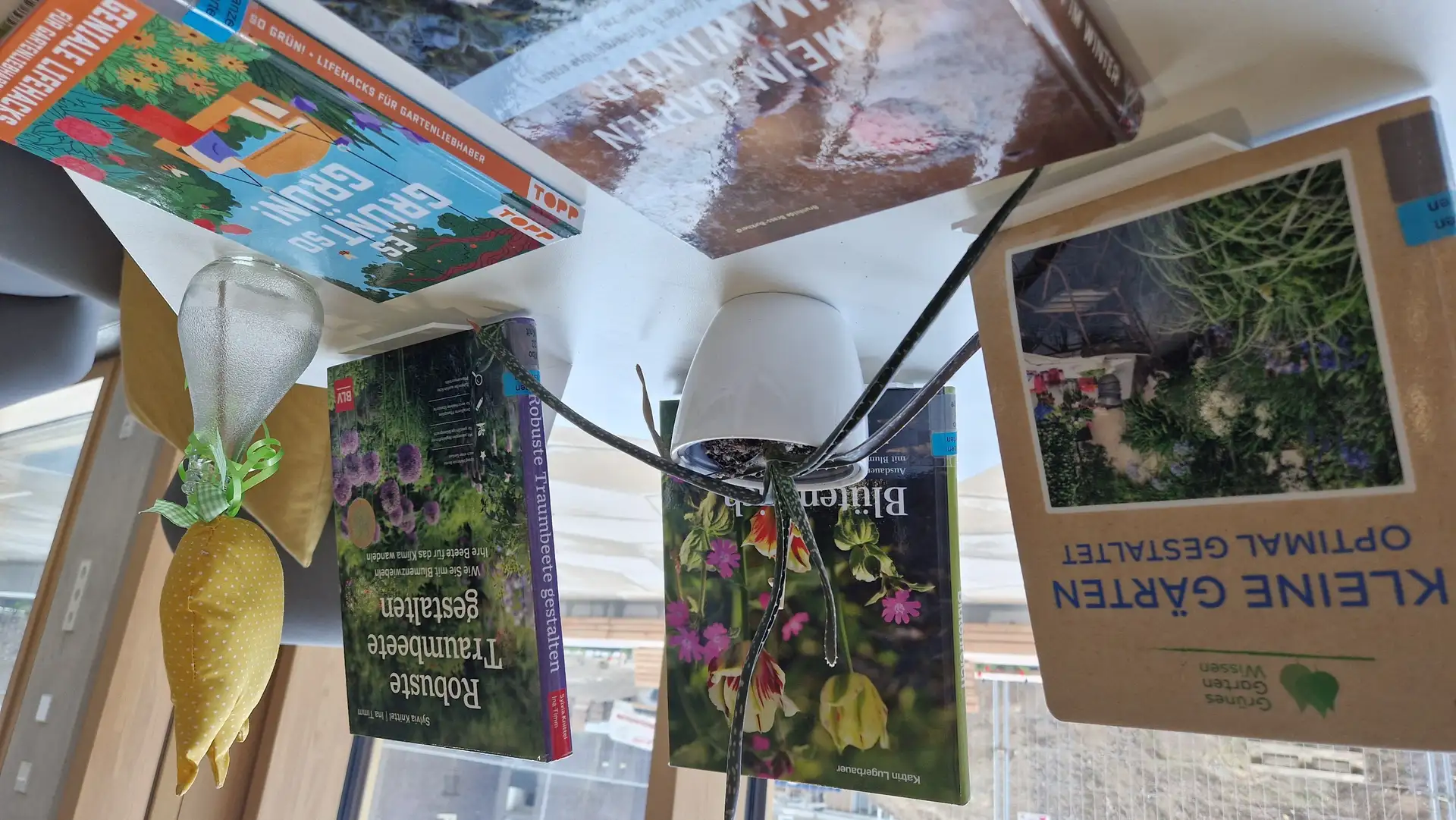 Gartentipps in der Bibliothek, Bundeswehrübung in Rheinstetten