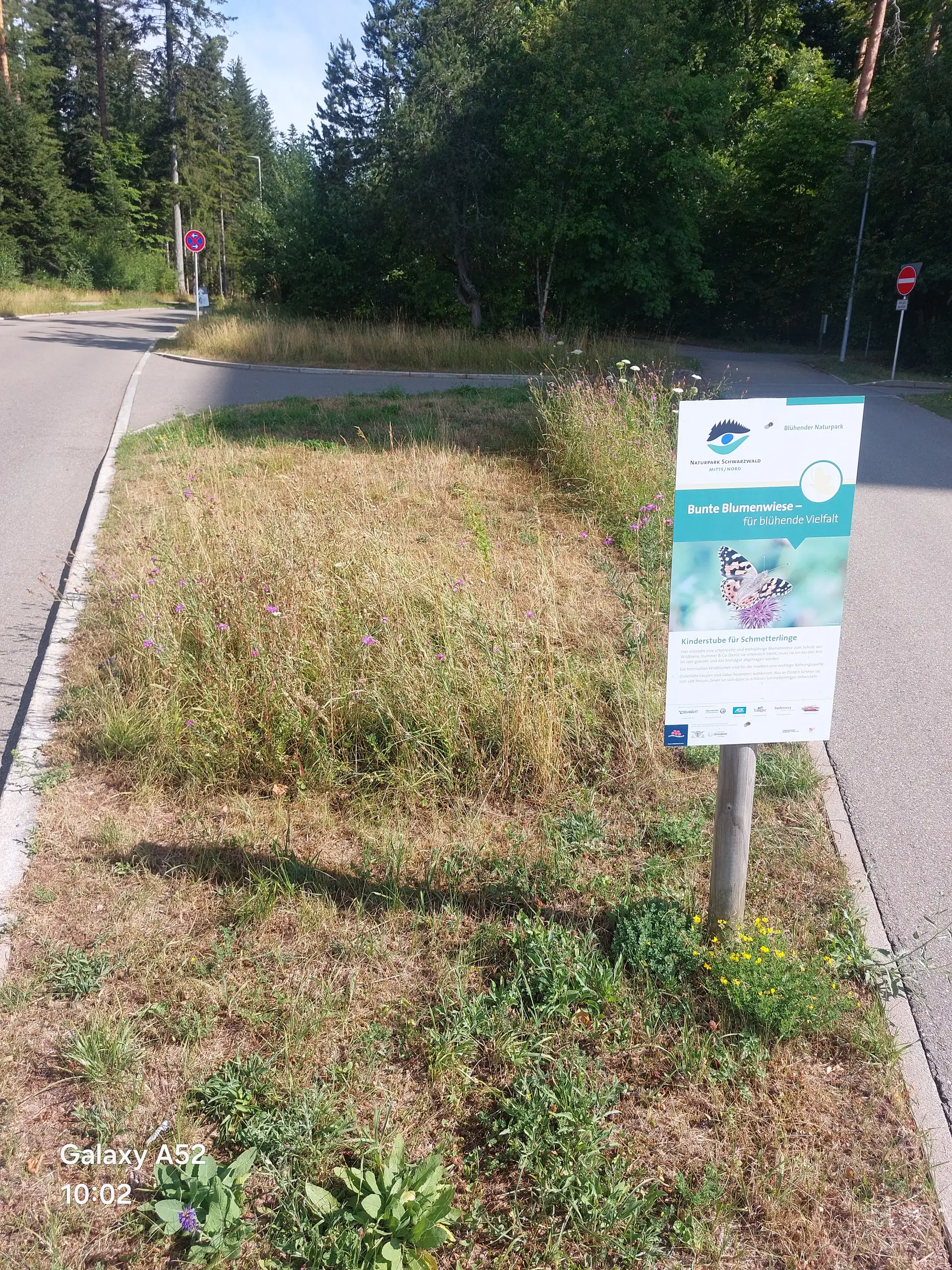 Freudenstadt setzt auf gestaffelte Mahd für mehr Natur im Straßenbegleitgrün