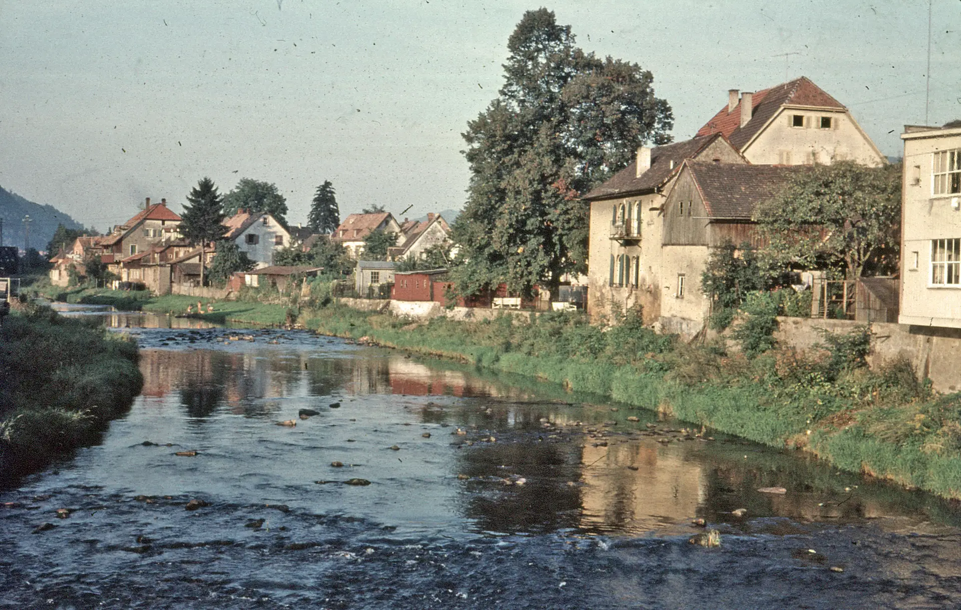 Entdecken Sie den neuen Fischlehrpfad in Waldkirch