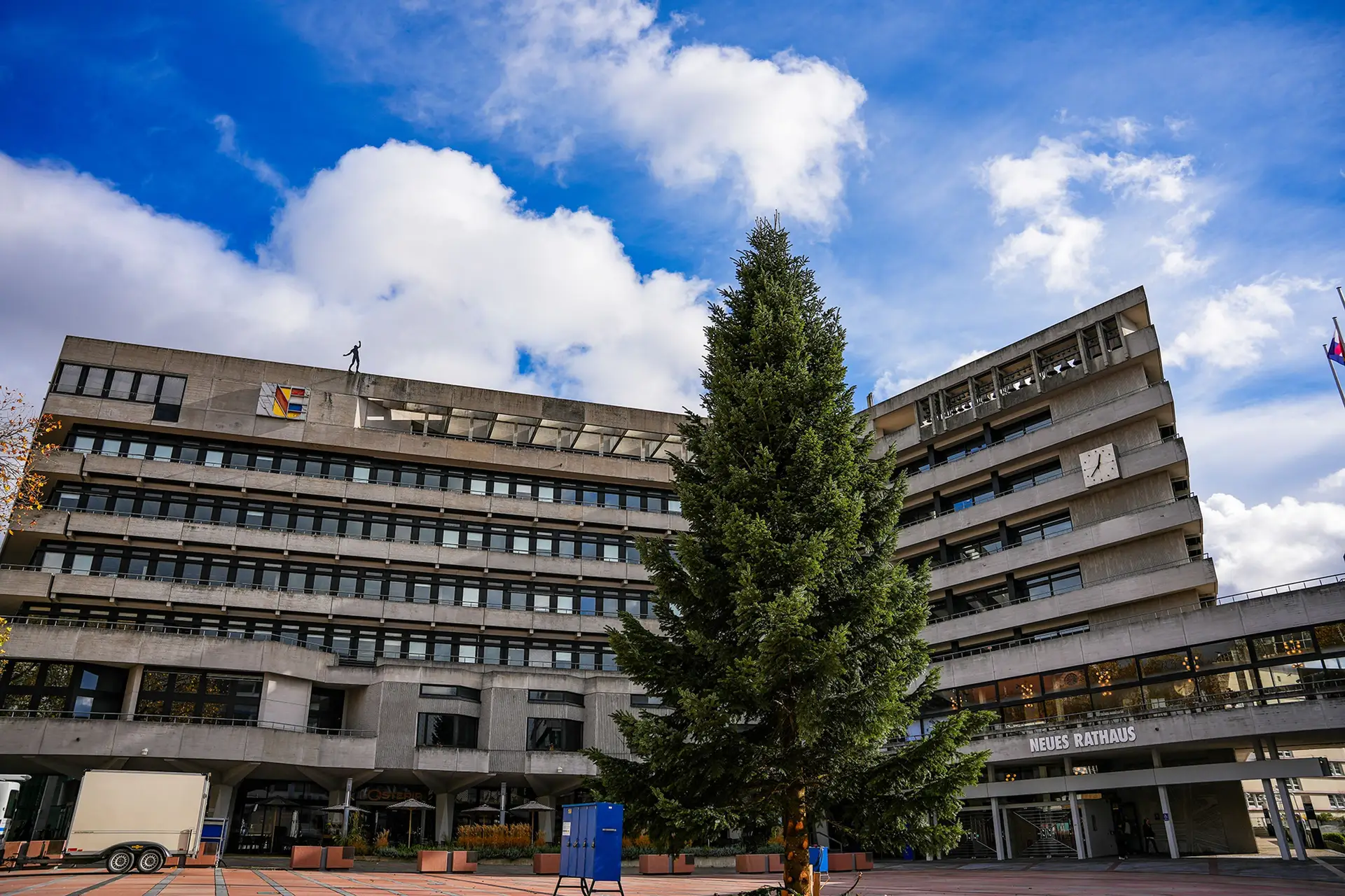Riesige Tannen erleuchten Pforzheim