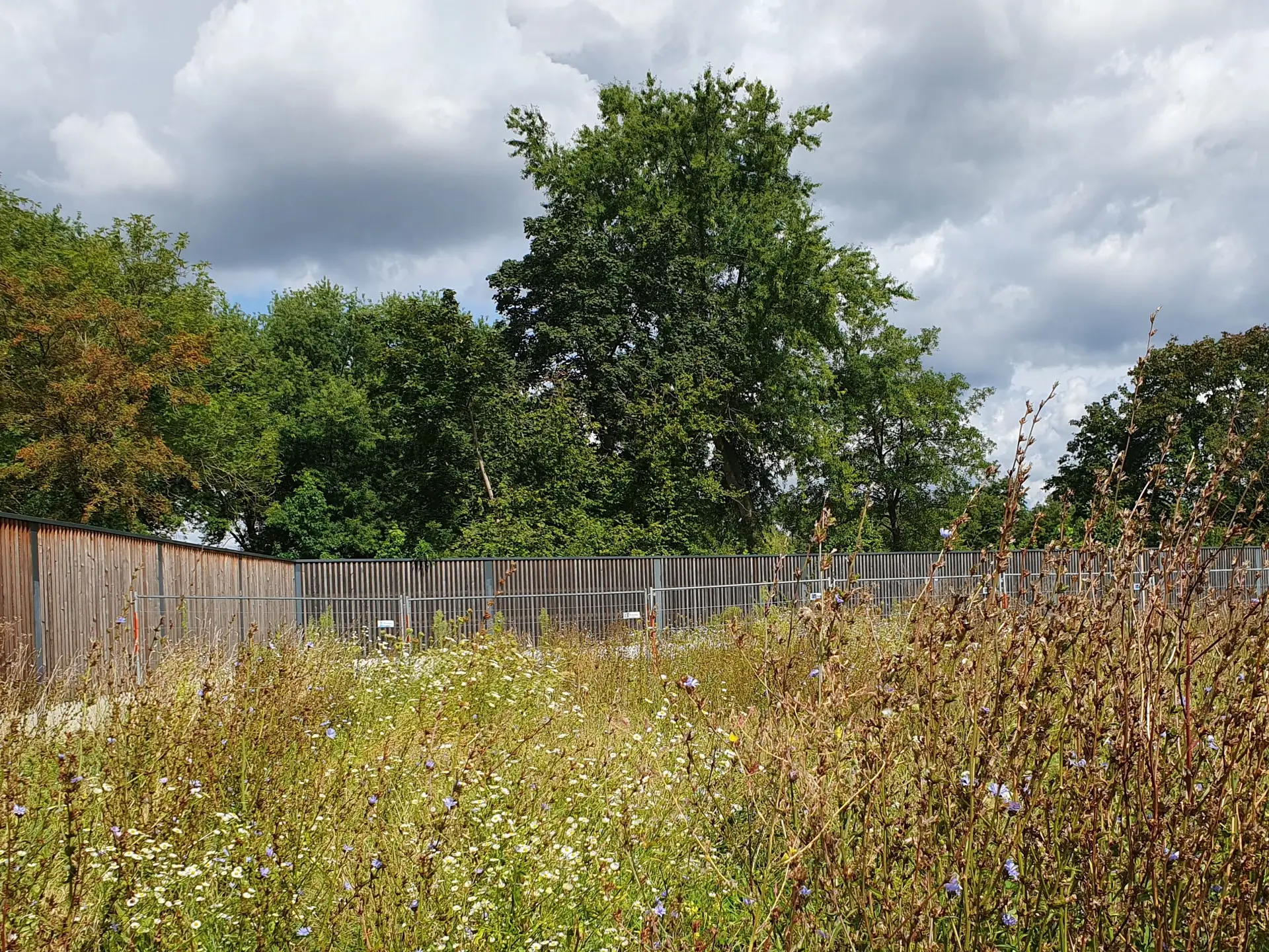 Schaffung von Wohnraum in Hemsbach: Baulücken aktiv nutzen