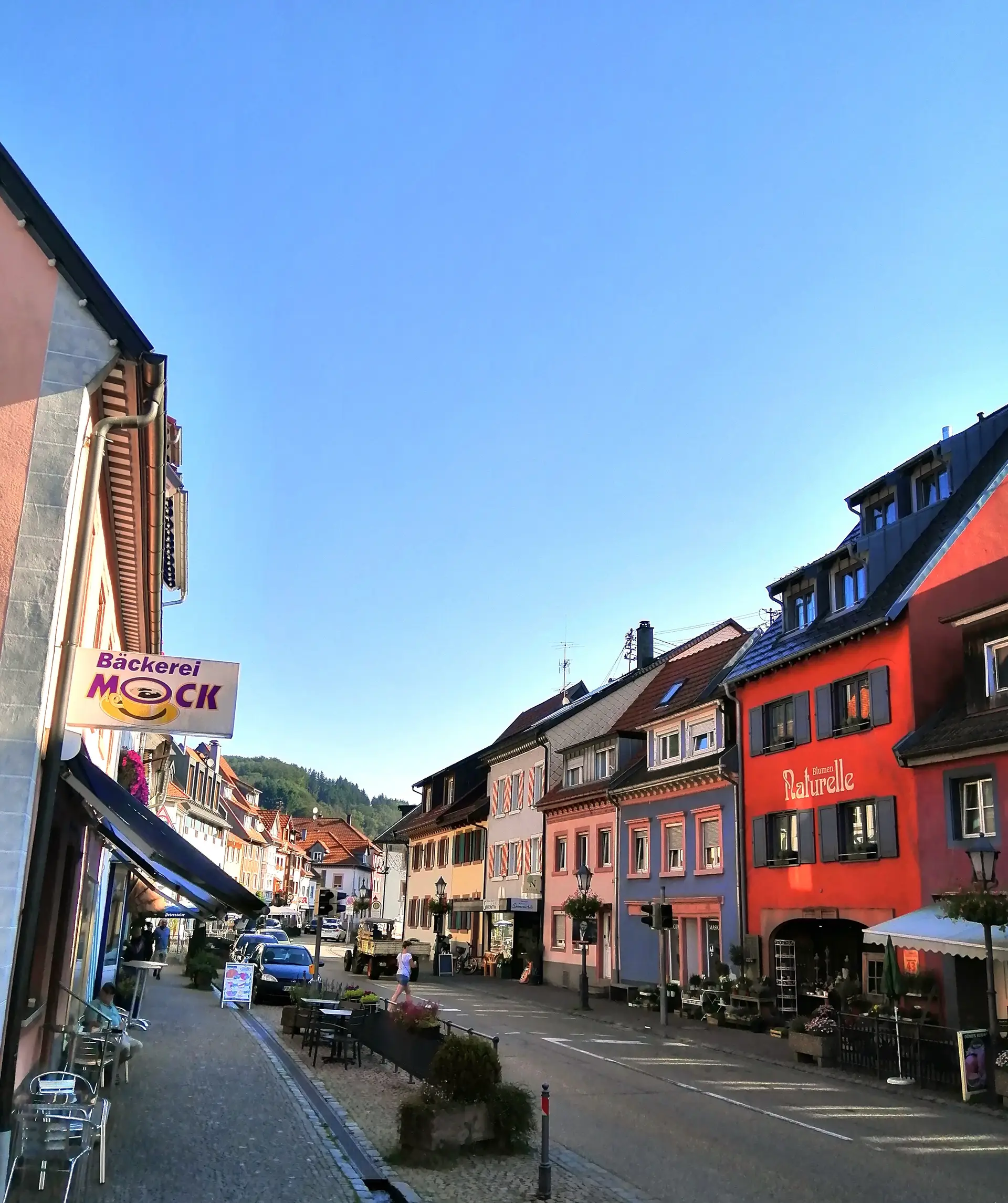 LEADER-Region Südschwarzwald: Projekte für 2026 bis 700.000 Euro einreichen