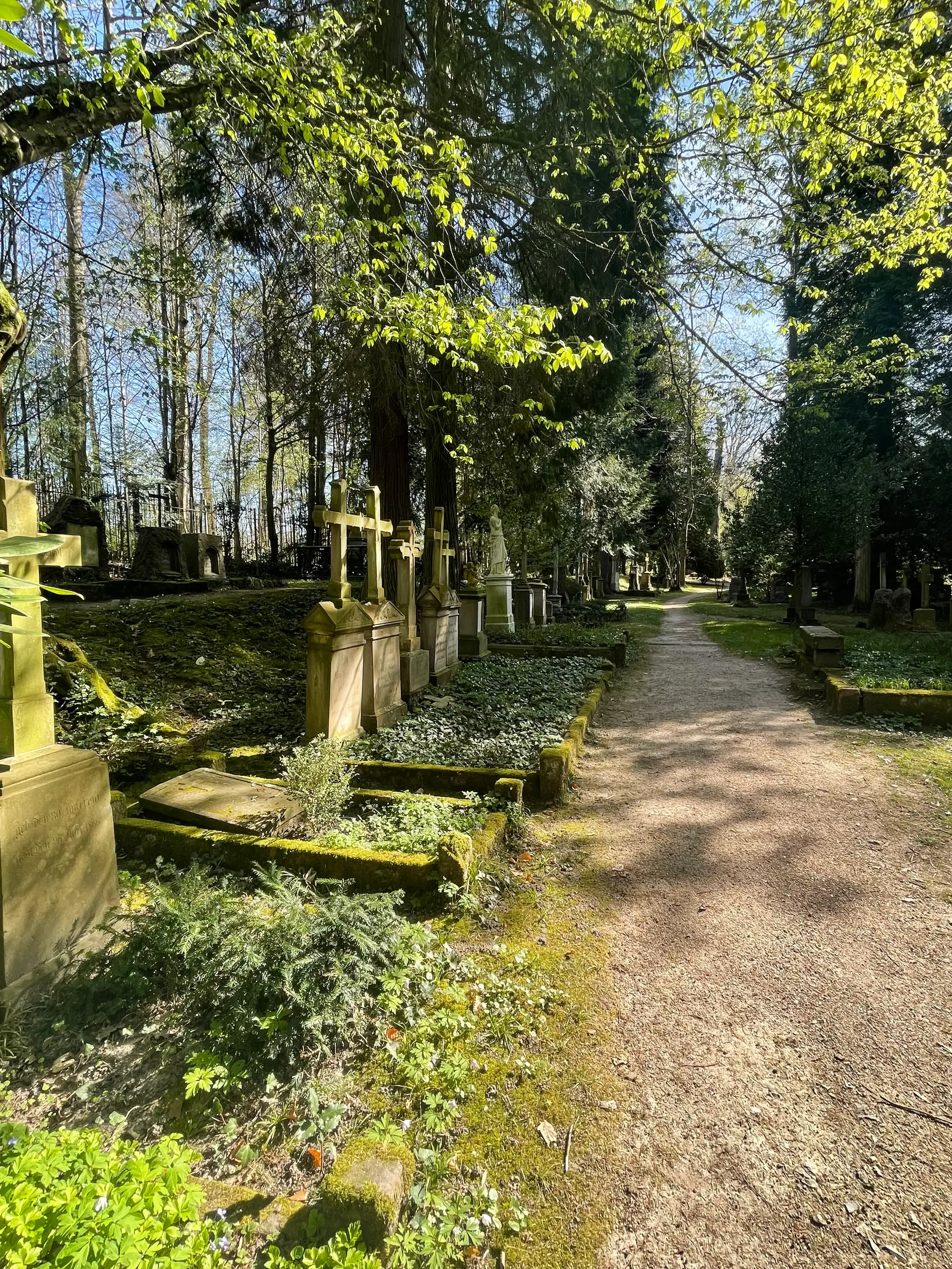 Friedhofsweg mit Gräbern am Illenauer Friedhof, Blick auf Grabreihen entlang des Weges.